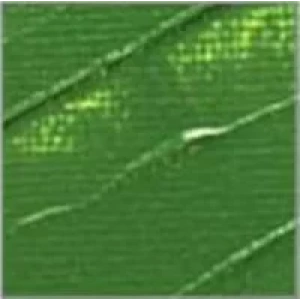 Pebeo Studio Akrilik Boya 61 Green Earth 100ml