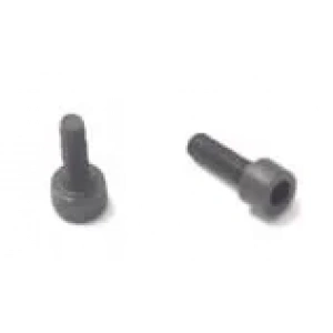 Pegasus Reçme W500 Lüper Vidası / 0070860