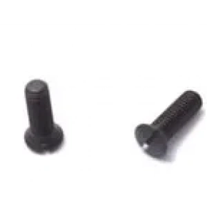 Rimoldi Reçme Kapak Vidası