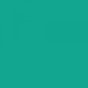 Sakura Pigma Brush Pen-fırça Uçlu Kalem Yeşil 29