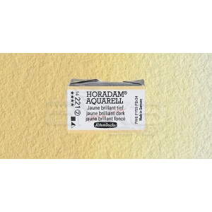 Schmincke Horadam Aquarell 1/1 Tablet 221 Brilliant Yellow Dark seri 2
