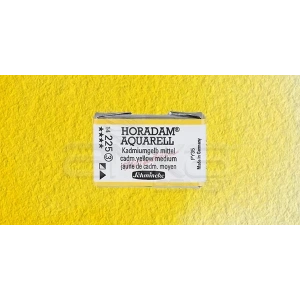Schmincke Horadam Aquarell 1/1 Tablet 225 Cadmium Yellow Middle Seri 3