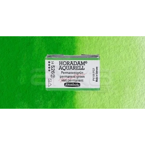 Schmincke Horadam Aquarell 1/1 Tablet 526 Permanent Green Seri 2
