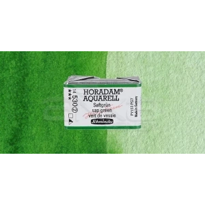 Schmincke Horadam Aquarell 1/1 Tablet 530 Sap Green Seri 2