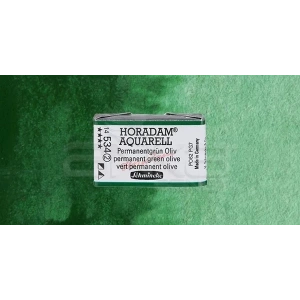 Schmincke Horadam Aquarell 1/1 Tablet 534 Permanent Green Olive Seri 2