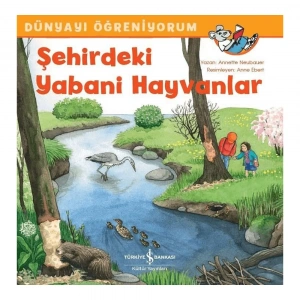 Şehirdeki Yabani Hayvanlar
