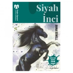 Siyah İnci  328542