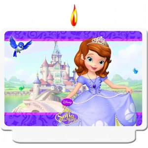 Sofia The First Pasta Mumu 1 Adet