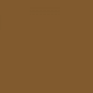 Talens Blockprint Linol Baskı Boyası 250ml Brown