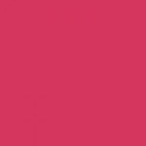 Talens Blockprint Linol Baskı Boyası 250ml Carmine