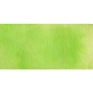 Talens Ecoline 30ml Pastel Green No:666