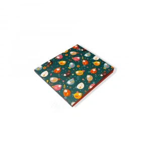 Thinkbook Animals Mini Serisi 15X14Cm Mini Minik Kuşlar