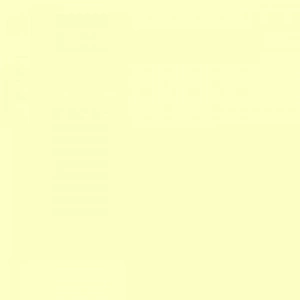 Tombow Dual Brush Pen Baby Yellow 090