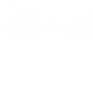 Tombow Dual Brush Pen Blender N00