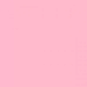 Tombow Dual Brush Pen Blush 772