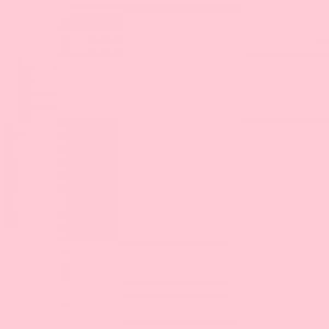 Tombow Dual Brush Pen Carnation 761