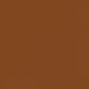 Tombow Dual Brush Pen Chocolate 969