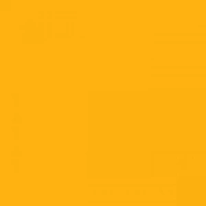 Tombow Dual Brush Pen Chrome Yellow 985