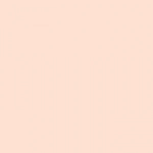 Tombow Dual Brush Pen Flesh 850