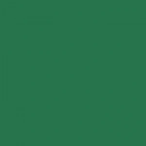 Tombow Dual Brush Pen Hunter Green 249