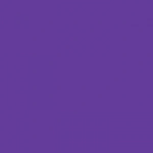 Tombow Dual Brush Pen İmperial Purple 636