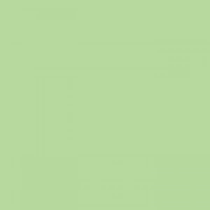 Tombow Dual Brush Pen Mint 243