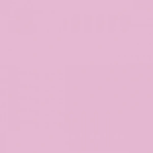 Tombow Dual Brush Pen Orchid 673