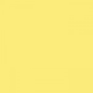 Tombow Dual Brush Pen Pale Yellow 062