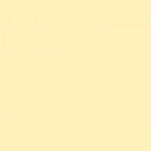 Tombow Dual Brush Pen Peach 020