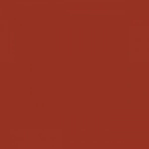 Tombow Dual Brush Pen Redwood 899