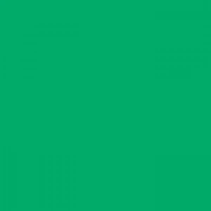 Tombow Dual Brush Pen Sap Green 245