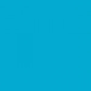 Tombow Dual Brush Pen Turquoise 443