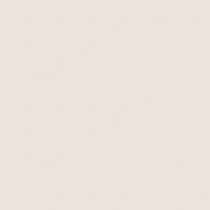 Tombow Dual Brush Pen Warm Grey 1 N89