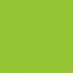 Tombow Dual Brush Pen Willow Green 173