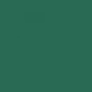 Touch Twin Brush Marker BG52 Deep Green