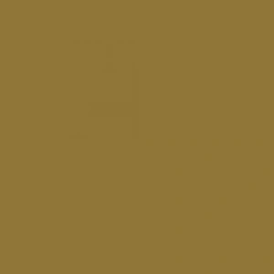 Touch Twin Brush Marker Br100 Walnut