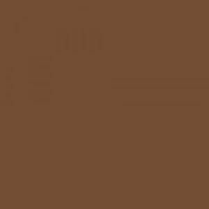Touch Twin Brush Marker BR102 Raw Umber