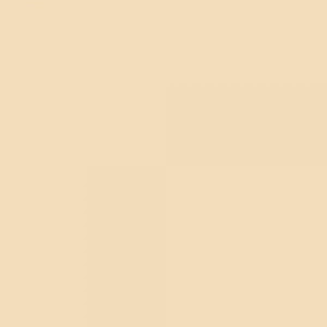 Touch Twin Brush Marker BR113 Peanut