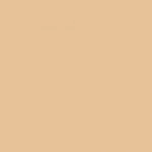 Touch Twin Brush Marker BR114 Pale Camel