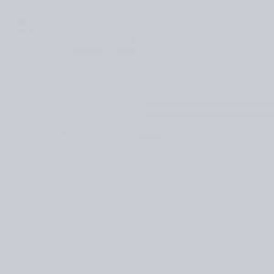 Touch Twin Brush Marker CG2 Cool Grey