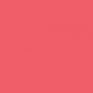 Touch Twin Brush Marker R13 Scarlet