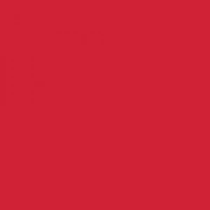 Touch Twin Brush Marker R15 Geranium