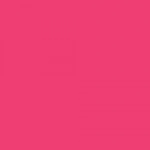 Touch Twin Brush Marker R5 Cherry Pink