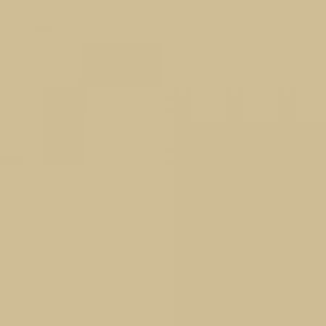 Touch Twin Brush Marker Y223 Straw Yellow