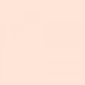 Touch Twin Brush Marker YR29 Barely Beige