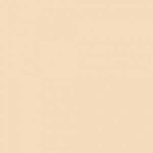 Touch Twin Marker BR113 Peanut