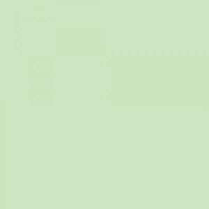 Touch Twin Marker Gy167 Pale Green Light