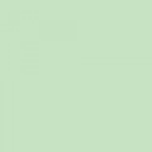 Touch Twin Marker GY172 Spectrum Green