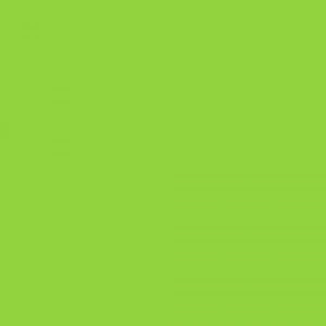 Touch Twin Marker Gy234 Leaf Green