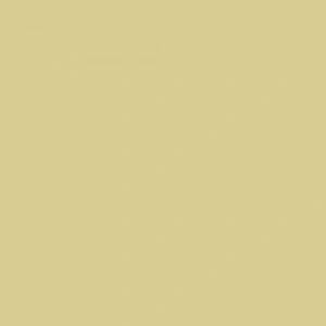 Touch Twin Marker Y169 Putty